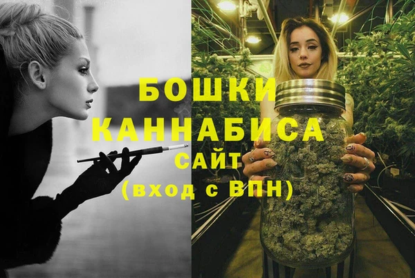гидра Вязники