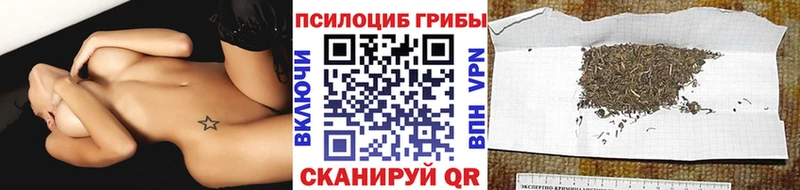 Галлюциногенные грибы мицелий  Нестеровская 